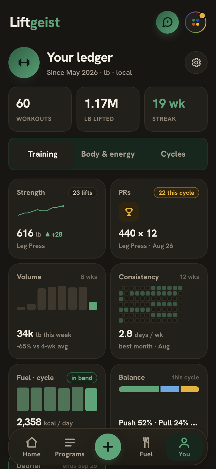 The ledger: 60 workouts, 1.17 million pounds lifted, a 19 week streak, then strength, PR, volume and consistency tiles